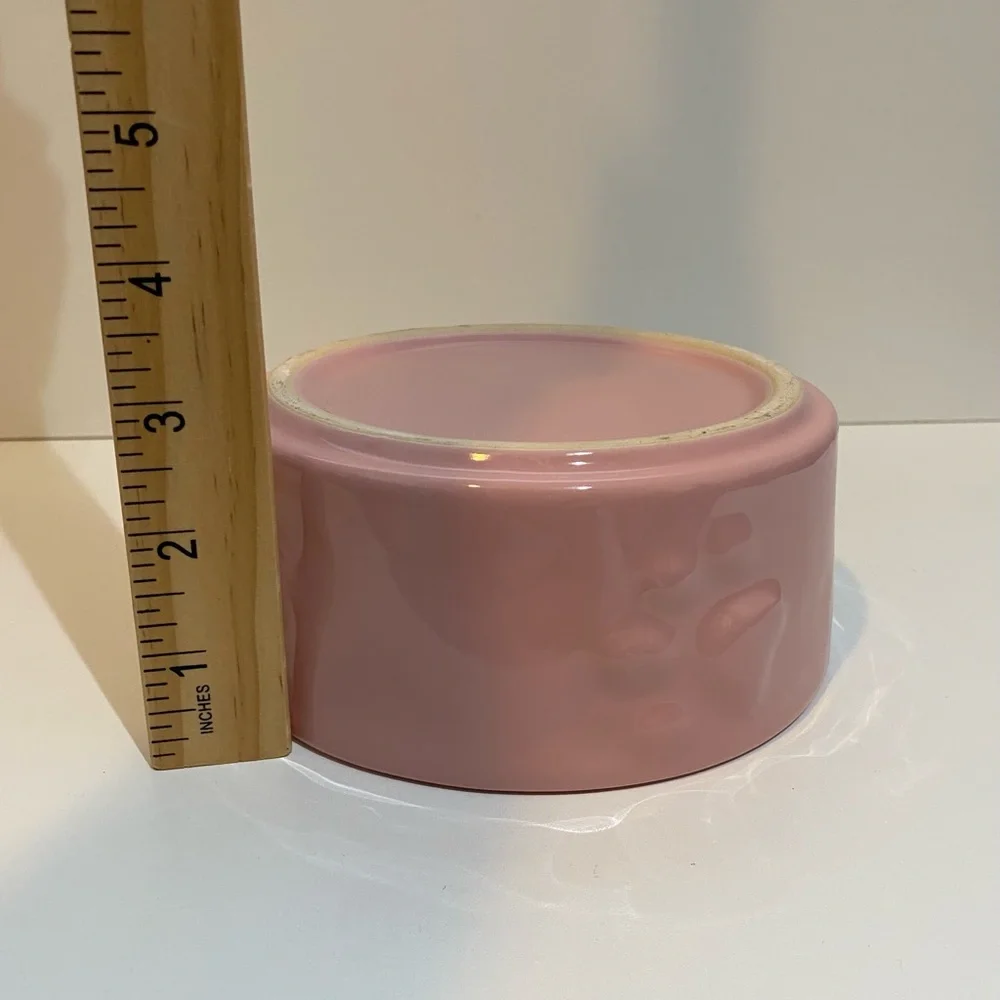 Pet Ceramic Feeding Bowl